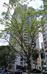 delta-avenue photo thumbnail #8